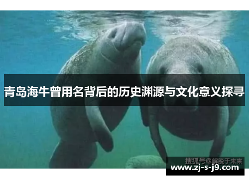 青岛海牛曾用名背后的历史渊源与文化意义探寻