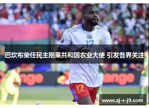 巴坎布荣任民主刚果共和国农业大使 引发各界关注