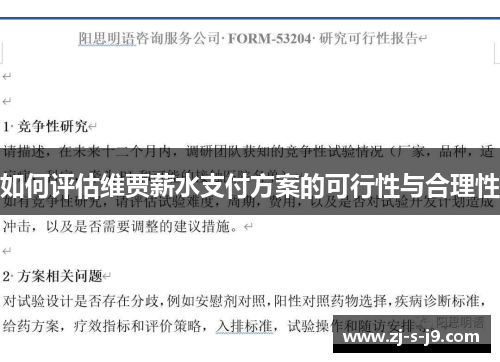 如何评估维贾薪水支付方案的可行性与合理性