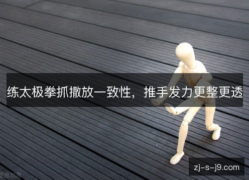 练太极拳抓撒放一致性，推手发力更整更透