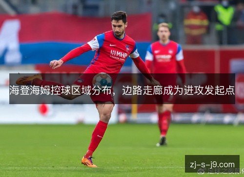 海登海姆控球区域分布,边路走廊成为进攻发起点 海登海姆控球区域分布,边路走廊成为进攻发起点
